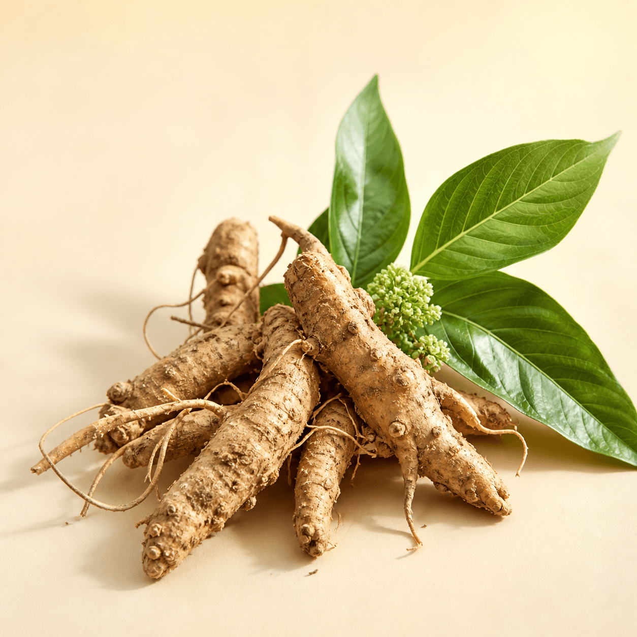 Ba Ja Tian ingredient
