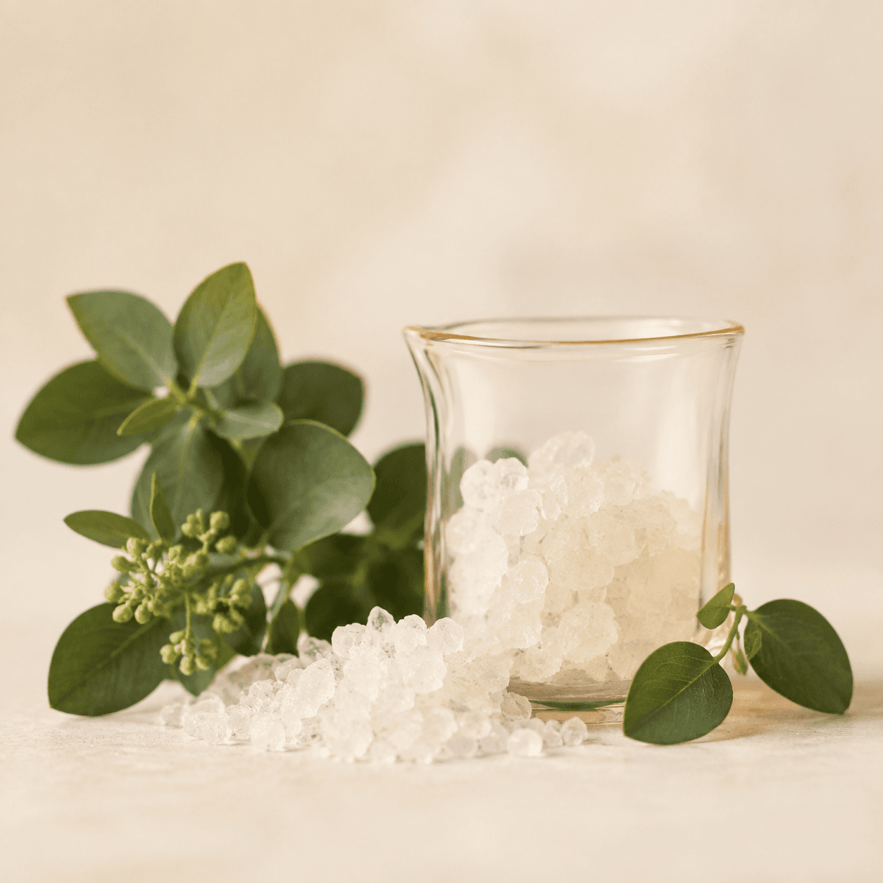 NAC ingredient